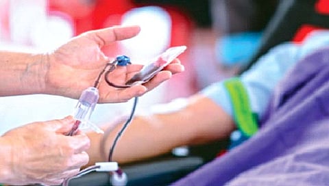 Blood : नवीन रक्त तयार होताना कुठे जाते जुने रक्त?
