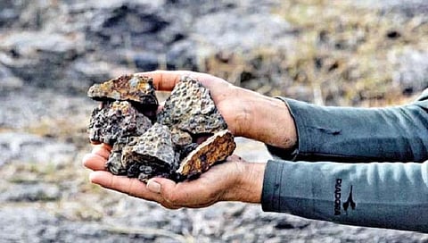 अर्जेंटिनातील लिथियमच्या खाणी विकत घेणार!