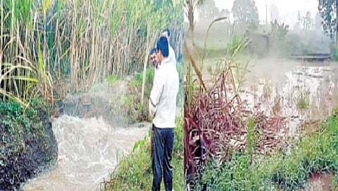 Kolhapur News : थेट पाईपलाईनला तुरंबेनजीक मोठी गळती