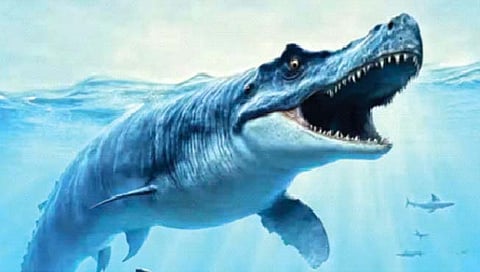 प्रशांत महासागरात होता ‘निळा ड्रॅगन’