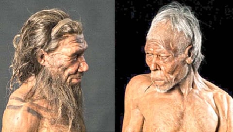 निएंडरथल, होमो सेपियन्सची होती एकच प्रजाती?