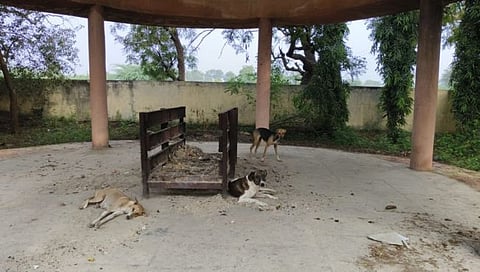 धुळे : इंदवे येथील स्मशानभूमीची दुरुस्ती करण्याची मागणी