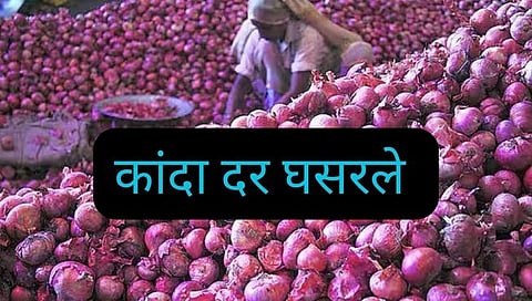 Nashik Onion Price : कांदा ११०० रुपयांनी घसरला, सरासरी दर ४२५२ वरून २२६० वर