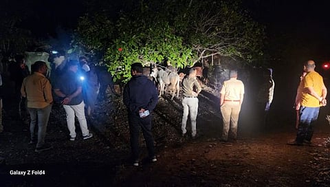 Dhule Crime : कत्तलीसाठी बांधून ठेवली 50 गुरे, सोडविण्यासाठी गेलेल्या पोलिसांवर दगडफेक