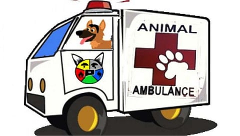 नाशिकमध्ये नागरिकांप्रमाणे आता प्राण्यांसाठीही रुग्णवाहिका, महापालिकेचा निर्णय