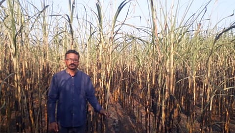 कोल्हापूर : धनगरमोळा येथे साडेतीन एकरातील ऊस जळून खाक