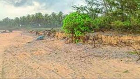 गोव्यात ४१ पैकी २२ किनार्यांच्या वाळूची धूप : चेन्नईच्या ‘नॅशनल सेंटर फॉर सस्टेनेबल कोस्टल मॅनेजमेंट’चा अहवाल