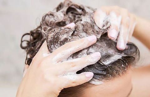 धोक्याचा इशारा..! शॅम्पू करु शकतो ‘लिव्हर’ खराब ! जाणून घ्या नवीन संशोधन