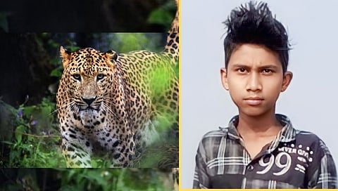 नाशिक : कोडीपाडा येथे युवकावर बिबट्याचा हल्ला, पिंजरा लावण्याची शेतकऱ्यांची मागणी