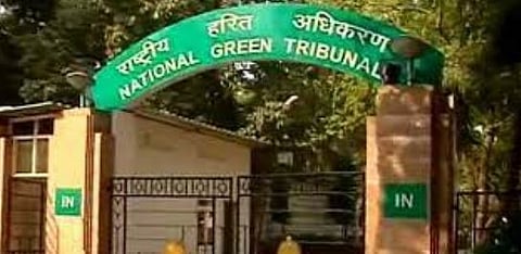 कंडोमच्या विल्हेवाटीसाठी कृती योजना तयार करा : एनजीटीचे निर्देश