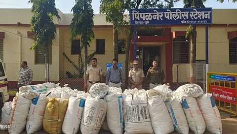 नाशिक : पिंपळनेर पोलिसांचा कापूस चोरट्यांचा सिनेस्टाईल पाठलाग; अडथळ्यासाठी फेकल्या कापसाच्या गोण्या