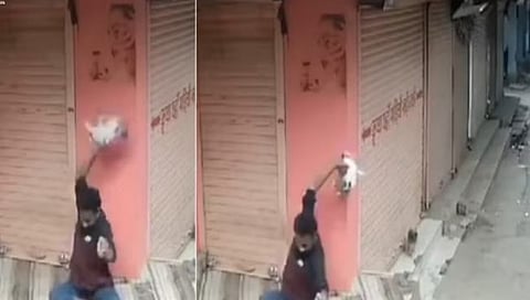 मध्य प्रदेश