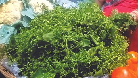 पनीर, चिकनपेक्षाही महागडी आहे भाजी