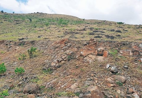 पुरंदर तालुक्यातील रब्बी हंगाम धोक्यात