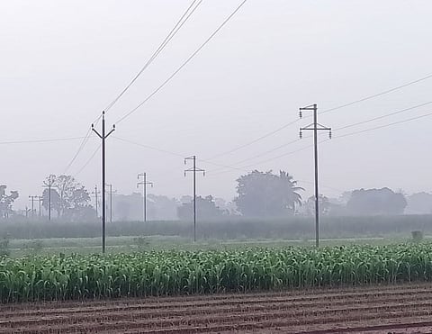 शेतकरी हतबल ! कांदा-बटाट्यावर रोगराईचा प्रादुर्भाव