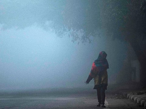 Cold Weather Impact: उत्तरेत थंडीची लाट! दिल्ली पाठोपाठ पंजाब सरकारचाही मोठा निर्णय