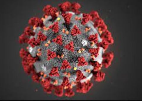 Covid 19 : कोरोनावरील उपाययोजनांसाठी टास्क फोर्सची स्थापना