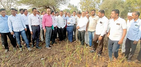 दुष्काळग्रस्त पुरंदरची केंद्रीय पथकाकडून पाहणी