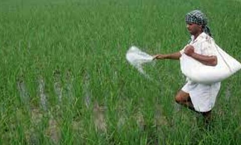 दुष्काळामुळे रब्बीत रासायनिक खतांच्या वापरात घट