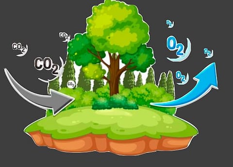 Pcmc News : लष्करामुळे शहराला मिळतोय ऑक्सिजन !