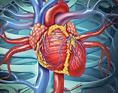 जिल्ह्यात 412 मुलांवर मोफत हृदयरोग शस्त्रक्रिया