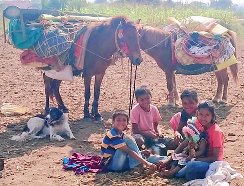 मेंढपाळ, ऊसतोड मजुरांना थंडीचा त्रास