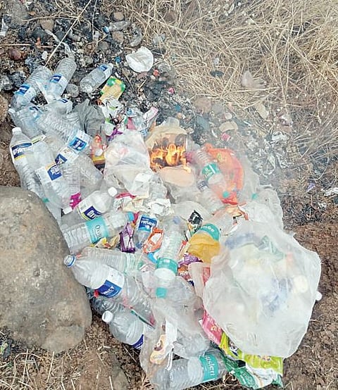 धरण, पाणवठे, सह्याद्रीची वनसंपदा धोक्यात