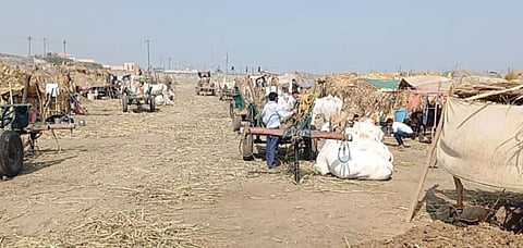 Pune : ‘सोमेश्वर’च्या गाळपावर कोयता बंदचा परिणाम