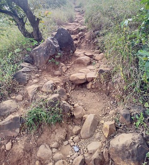 Toranagad : तोरणागडाच्या शिवकालीन मार्गाची दुरवस्था