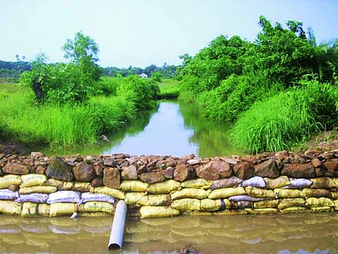 राज्यात 23 हजार 526 वनराई बंधारे तयार