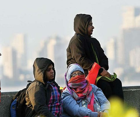 Weather Update : गार वाऱ्यांची राज्याकडे कुच; येत्या 48 तासांत थंडी वाढणार