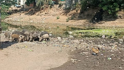 Samode Gram Panchayat : घोडमाळ, टेंभारस्ता प्रभागात नागरी सुविधा पुरविण्याची मागणी