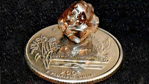 पार्कमध्ये फिरण्यासाठी गेल्यावर सापडला मौल्यवान हिरा!