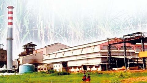 कोल्हापूर विभागात 1 कोटी 39 लाख मेट्रिक टन उसाचे गाळप