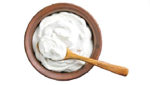 मंगळावरही दही खाऊ शकतील अंतराळवीर!