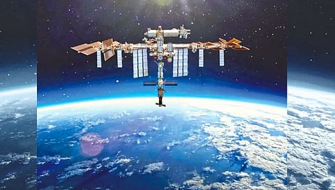 New Year Celebration