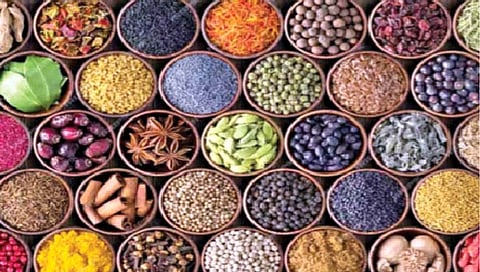 Spices : हिवाळ्यात ‘हे’ मसाले खाल्ल्याने शरीर राहते ऊबदार