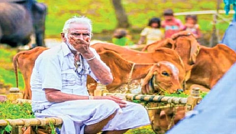 येथे प्राणीही घेतात आठवड्याची सुट्टी!