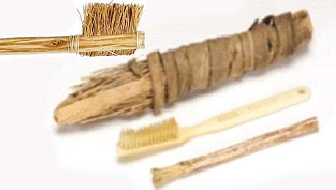 टूथब्रशचा प्रथम वापर केव्हा झाला? जाणून घ्या रंजक माहिती