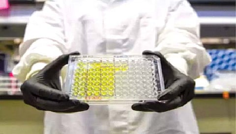 वैज्ञानिकांनी शोधले नवे प्रभावी अँटिबायोटिक