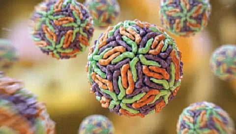 झिका विषाणूने होऊ शकतो कर्करोगावर उपचार?