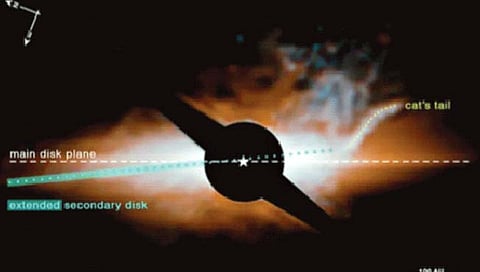 नवजात तार्याला फुटली ‘मांजराची शेपूट’!