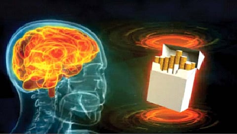 धूम्रपानामुळे बदलतो मेंदूचा आकार; हृदयावरही हाेताे विपरीत परिणाम