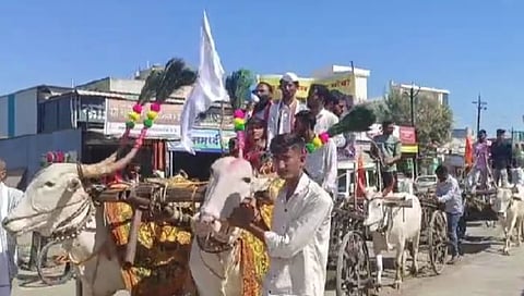 हिंगोली : सेनगाव तहसील कार्यालयावर शेतकऱ्यांचा बैलगाडी मोर्चा