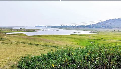 ‘उजनी’तील पाण्यासाठी उद्या रास्ता रोको