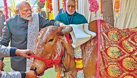 पंतप्रधान मोदींचे दैनंदिन अनुष्ठान सुरू!