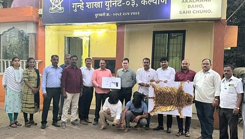 Thane News : कल्याण-शिळ मार्गावर तस्कर-पोलिसांत धुमश्चक्री; वाघाच्या कातड्यासह ४२ लाखांचा मुद्देमाल जप्त
