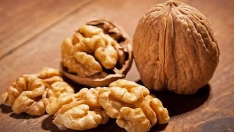 अनेक आजारांना दूर ठेवतात अक्रोड