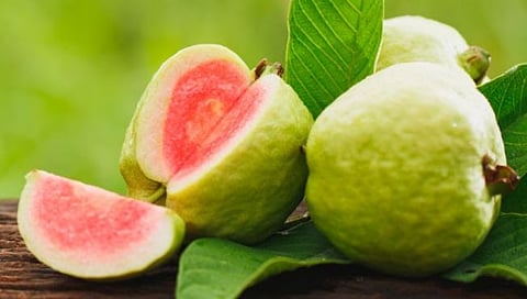 गुलाबी गाभ्याचे पेरू खाल्ल्याने होतात ‘हे’ लाभ