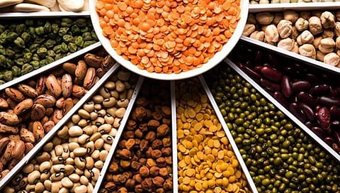 Bharat Brand Chana Dal Phase-II Scheme